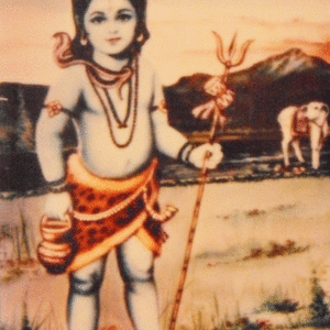 Shiva bambino
