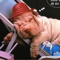 sleep