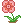 nnat31x