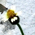 IMG 0093 resize