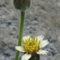 IMG 0186 resize