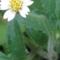 IMG 0227 resize