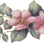 flower018
