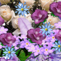 flower020
