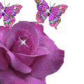 ros003