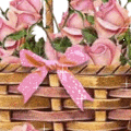 ros009