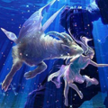 Zodiac Capricorn ราศีเมษ