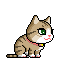 cat 12