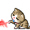 cat 14