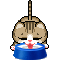 cat 17