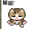 cat 23