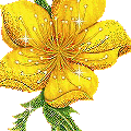 flower006