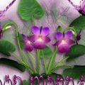 good morning 03