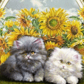 rasunflowkittiesgoodmorip3