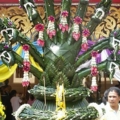 IMGP5480