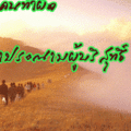 496c0f971bacf