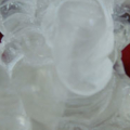 prasrikanes 1