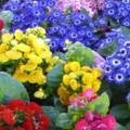 Picture 106 (Small)