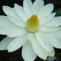 DSC08801
