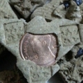 0.1