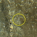 b67 copy