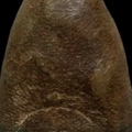 m28 copy