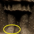 a7 1