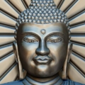 15391165_1187787437924637_3168447025829996418_n