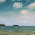 Summer-gif-1 moving