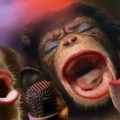 3Monkeys