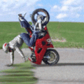 BicycleHandAnimation