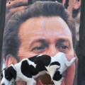 DogPee
