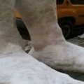 Two Feet