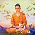 164084