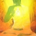 164236