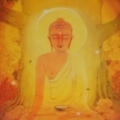 164306