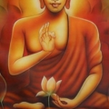 164346