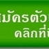 สร้างรายได้จากการเป็นเจ้าของธุรกิจโทรคมนาคม