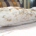 DSC05174