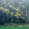 DSC00051