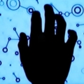 sil image l 02
