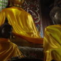 DSC05041s