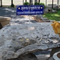 รอยพระพุทธบาทกรุงเทพฯ - สนามกีฬาแห่งชาติ