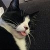 Asleep t