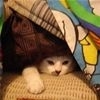 In My Fort t