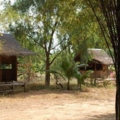 DSC 0019