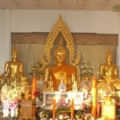 DSC 0086