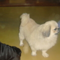 DSC00928