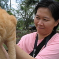 P 1000 050 resize