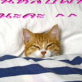 good night1